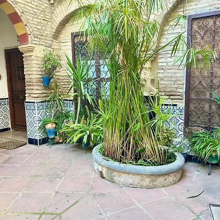 Apartamento de estilo tradicional cordobés en Plaza de la Corredera Córdoba Exterior foto