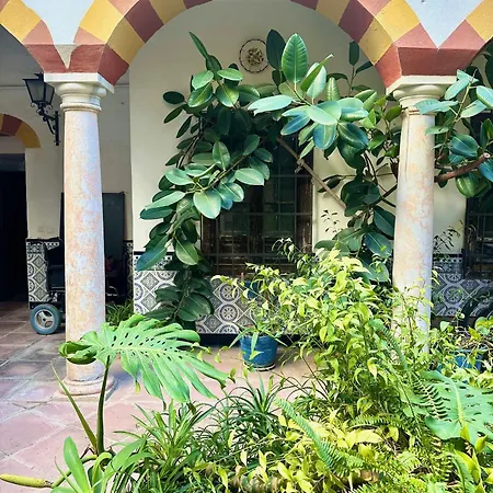 Apartamento de estilo tradicional cordobés en Plaza de la Corredera Córdoba Exterior foto